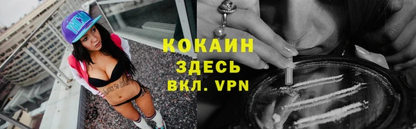 трава Аркадак
