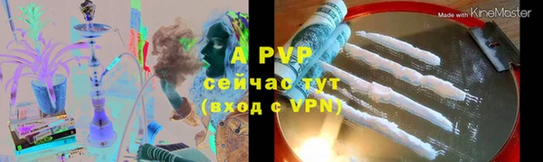трава Аркадак