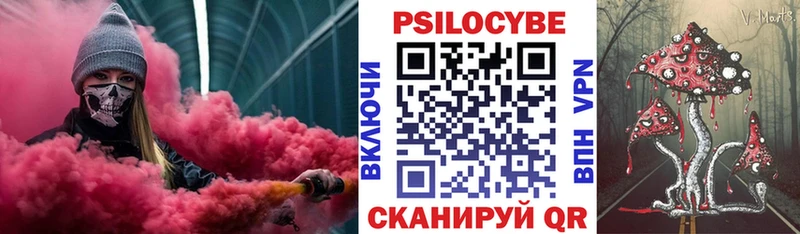 гидра ССЫЛКА  Жигулёвск  Псилоцибиновые грибы Psilocybine cubensis 